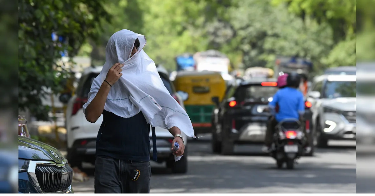 Delhi Has Lost Nearly Half Its Green Cover in 10 Years — 76% of City Is Heat-Stressed, Surface Hits 60°C: Full Explainer